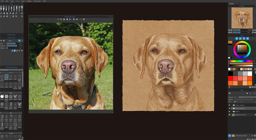 Beispiel Tierportrait 3